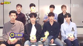 exo采访视频,偶像背后的真实故事与心路历程