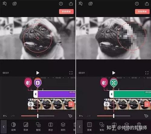 大疆无人机视频编辑,大疆无人机视频编辑艺术之旅