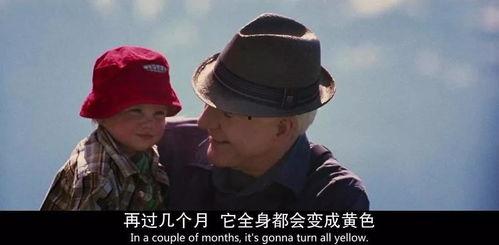 青草视频精品在线观看,精品在线观看,畅享视听盛宴