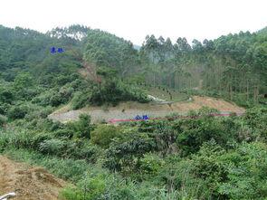 杨公寻龙尺视频,揭秘古代风水寻龙术的神秘面纱