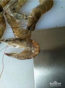 杀虾视频教程,视频教程带你一步步学会