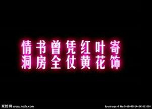 婚礼祝福视频台词,祝福永恒——婚礼祝福视频台词精选