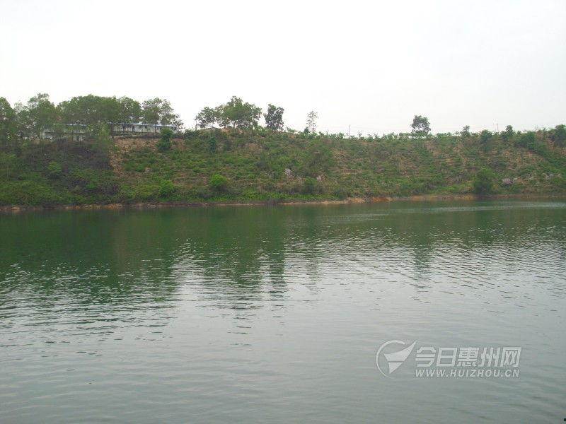 红花湖视频,探寻自然与人文的和谐交融