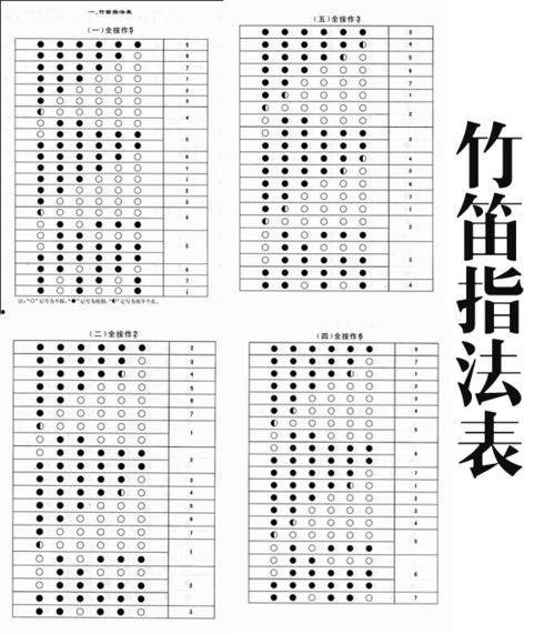 笛子教学视频全集免费,从入门到精通，免费学习之旅