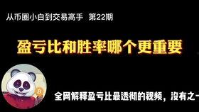 比的讲解视频,深度解析比的视频课程概述