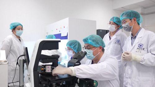 科学试验视频,视频揭秘实验背后的惊人发现