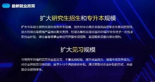 求职演讲视频,展现自我与职场的完美对接