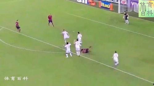 小罗过人视频,足球场上的艺术大师