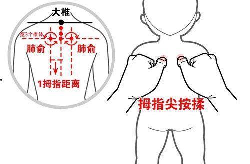 小儿肺俞位置图视频,精准按摩，助力宝宝健康成长