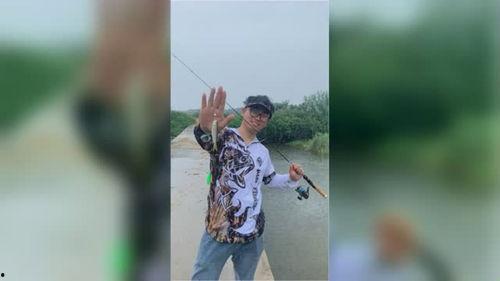 马口路亚视频,探寻水上激情与技巧的完美融合