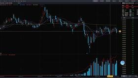 期货分析视频,市场趋势与策略解析